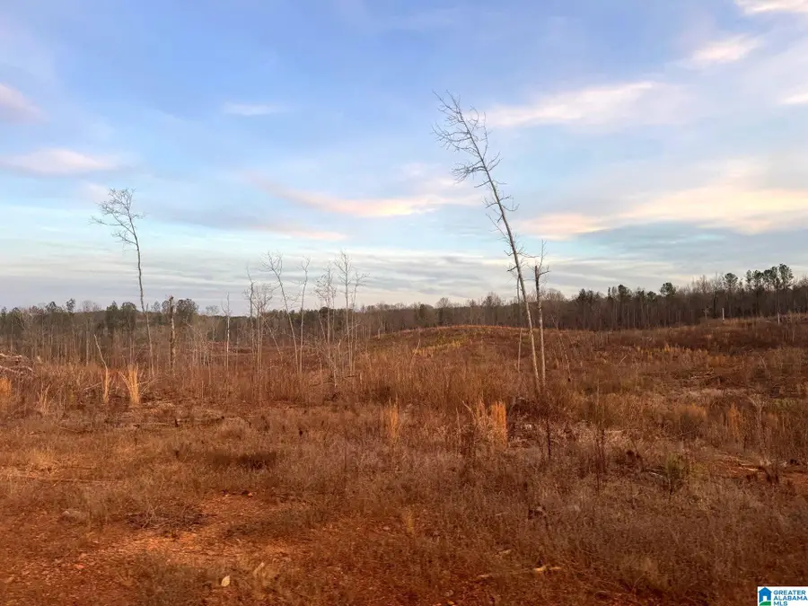 WALKER ROAD, Cragford, AL 36255 - #3