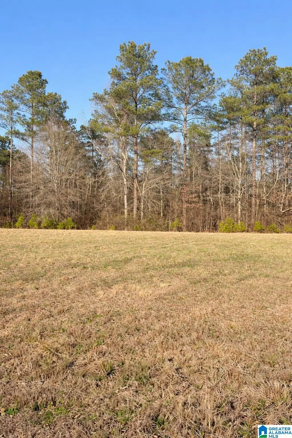 Lot 1 COUNTY ROAD 25, Jemison, AL 35085 - #1