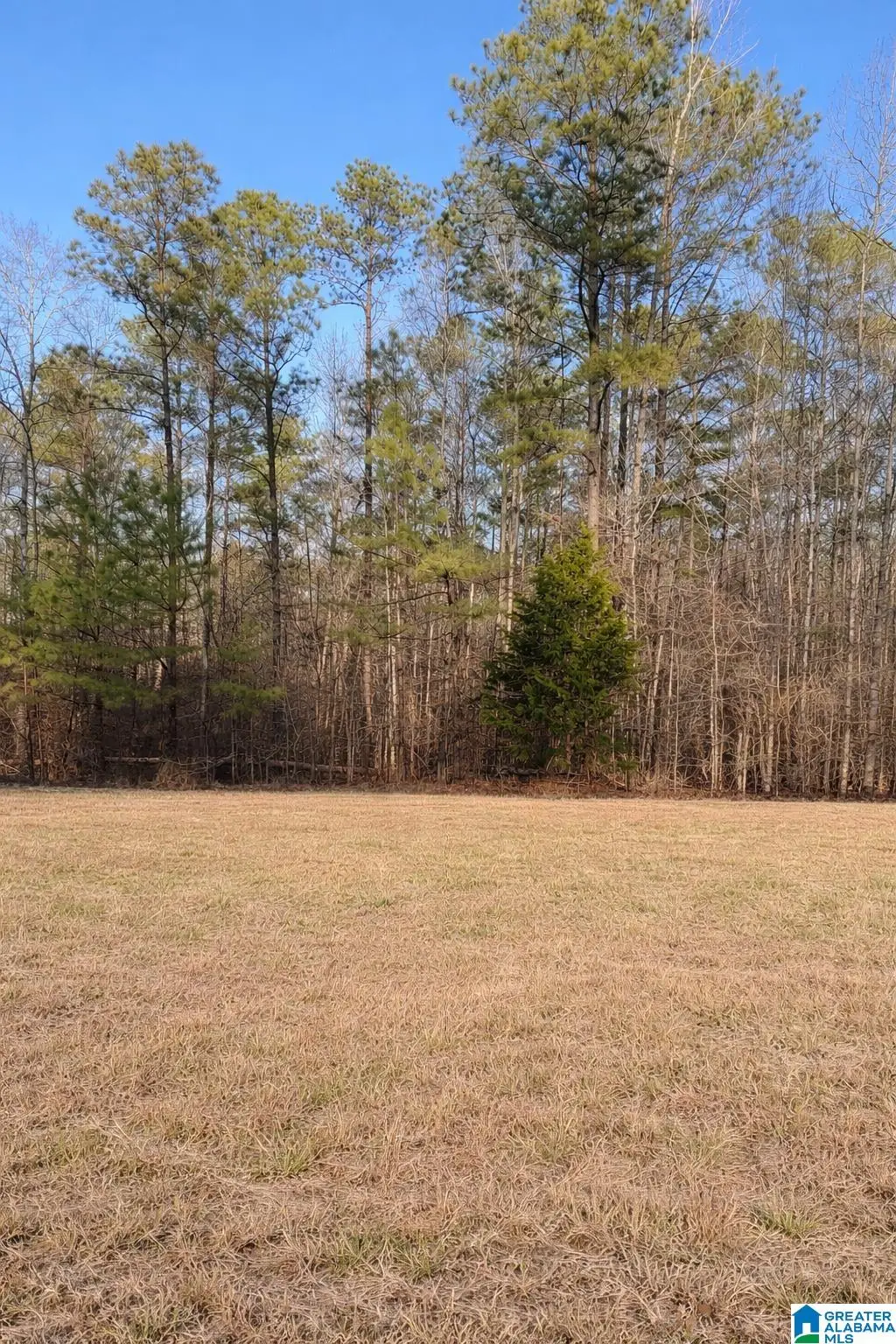 Lot 2 COUNTY ROAD 25, Jemison, AL 35085 - #1