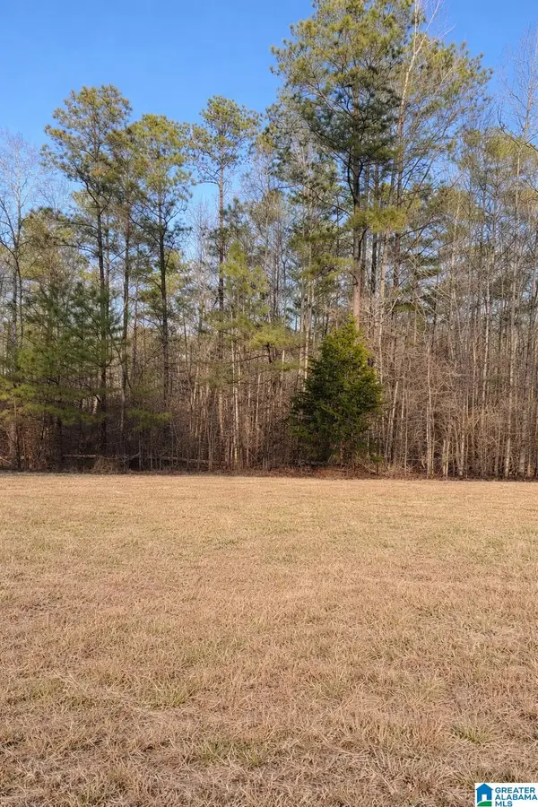 Lot 2 COUNTY ROAD 25, Jemison, AL 35085