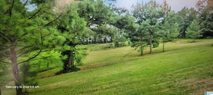 514 VILLAGE DRIVE, Kennedy, AL 35574 - #3