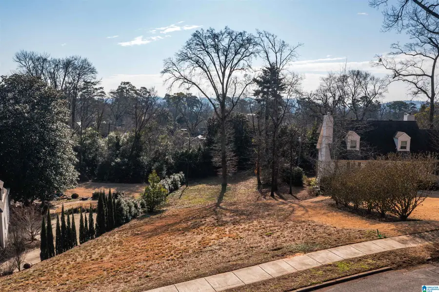 3213 CARLISLE ROAD, Birmingham, AL 35213 - #2