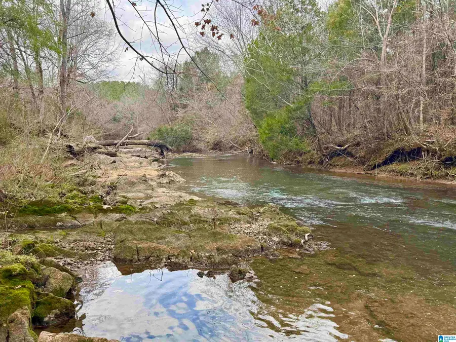 576 GUN LOCK ROAD, Montevallo, AL 35115 - #3