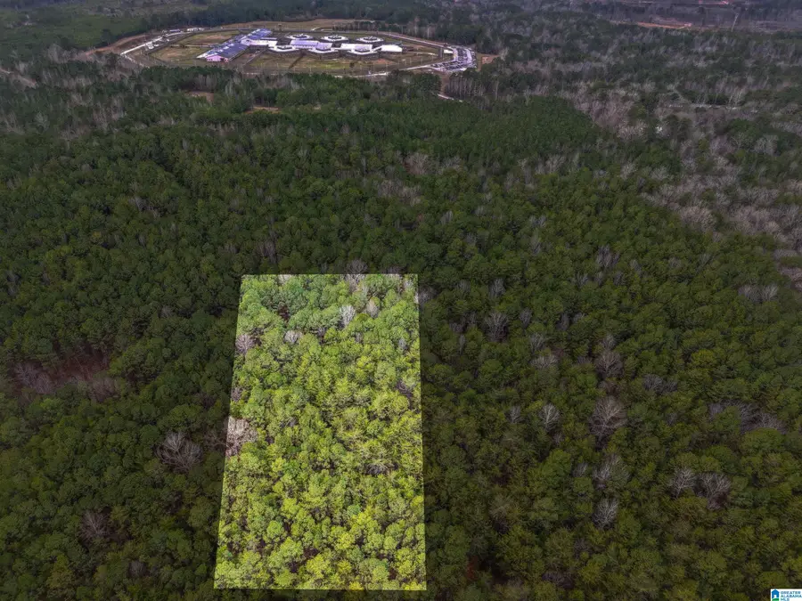 255 WARRIOR LANE, Bessemer, AL 35023 - #2