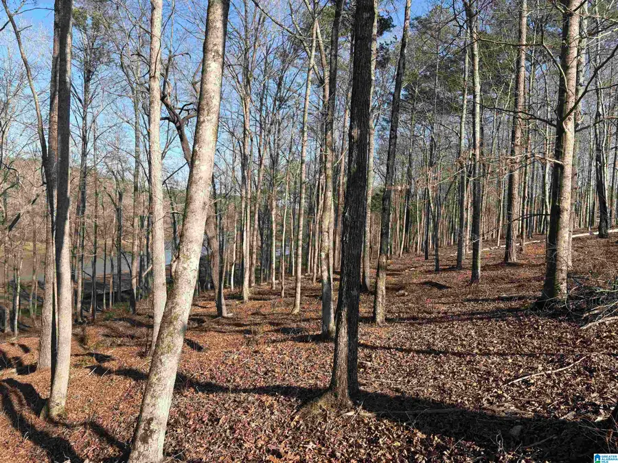 Lot12 COUNTY ROAD 499, Woodland, AL 36280 - #2
