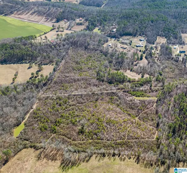 0 WELLINGTON ROAD, Wellington, AL 36279