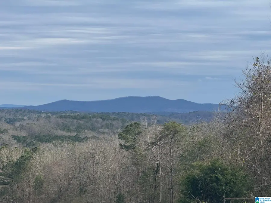 3953 LOGAN MARTIN DAM ROAD, Cropwell, AL 35054 - #2