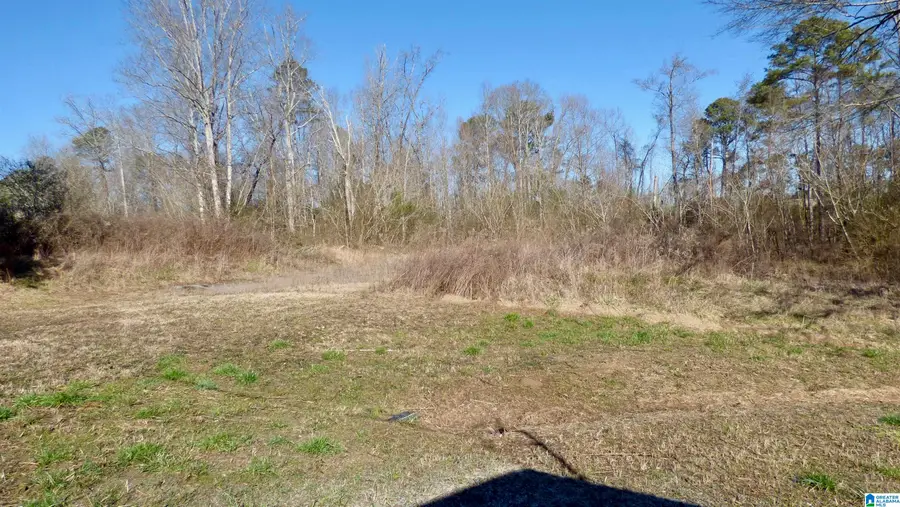 279 POSEY DRIVE, Nauvoo, AL 35578 - #3