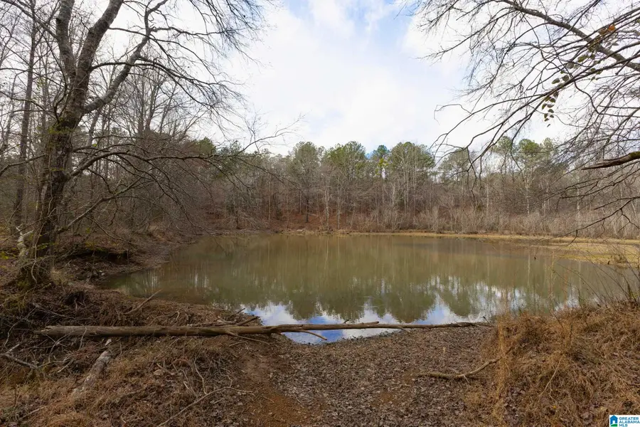 1000-1068 CAMP WINNATASKA ROAD, Pell City, AL 35128 - #2