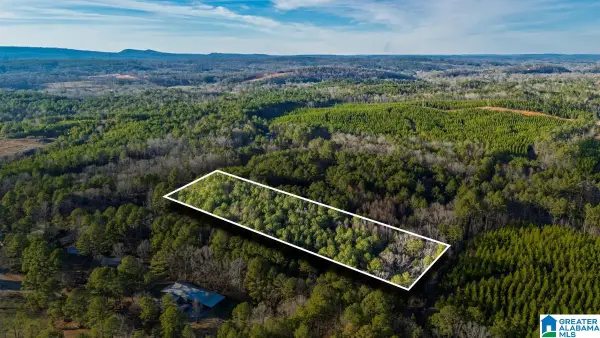 90 STEVENS DRIVE, Pell city, AL 35128