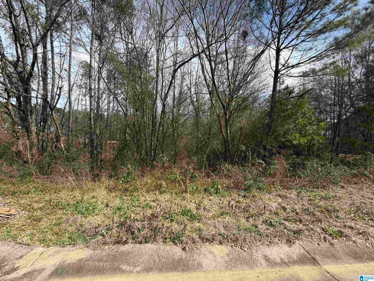 1112 BAYLOR COURT, Pell City, AL 35125 - #1