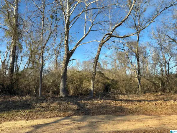 0 COUNTY ROAD 863, Stanton, AL 36750