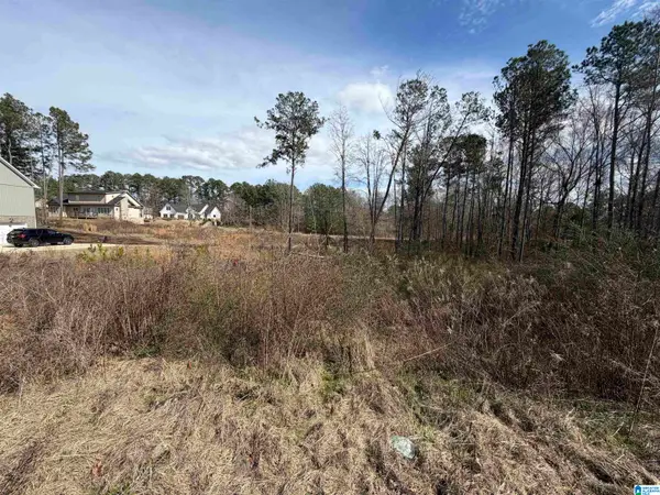 1116 BAYLOR COURT, Pell city, AL 35128