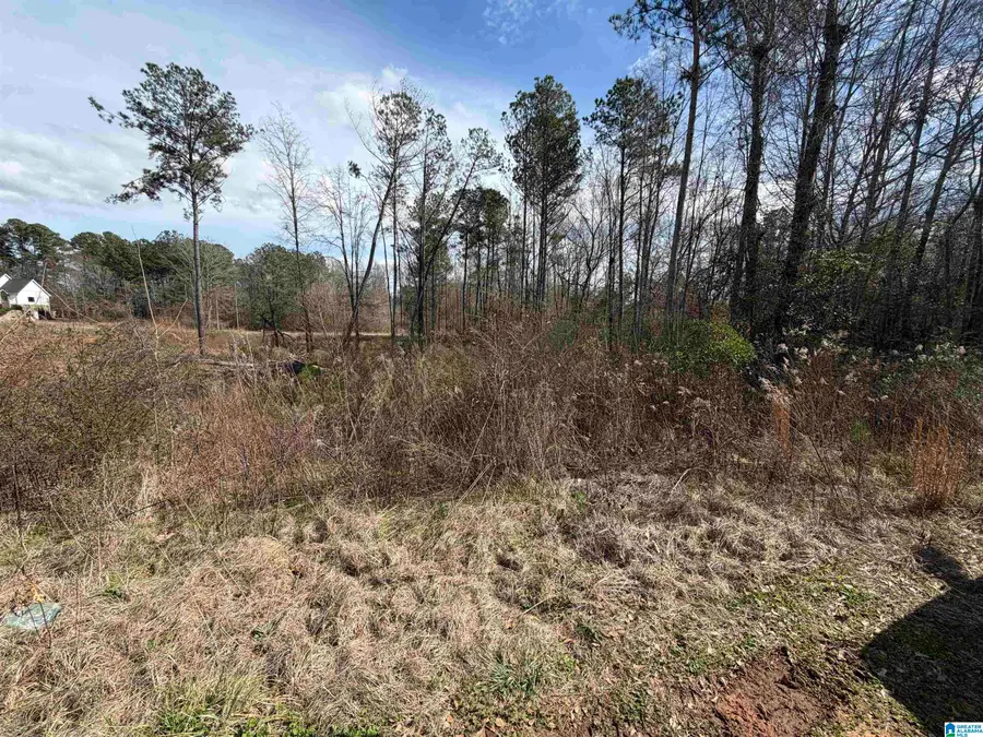 1116 BAYLOR COURT, Pell City, AL 35128 - #2