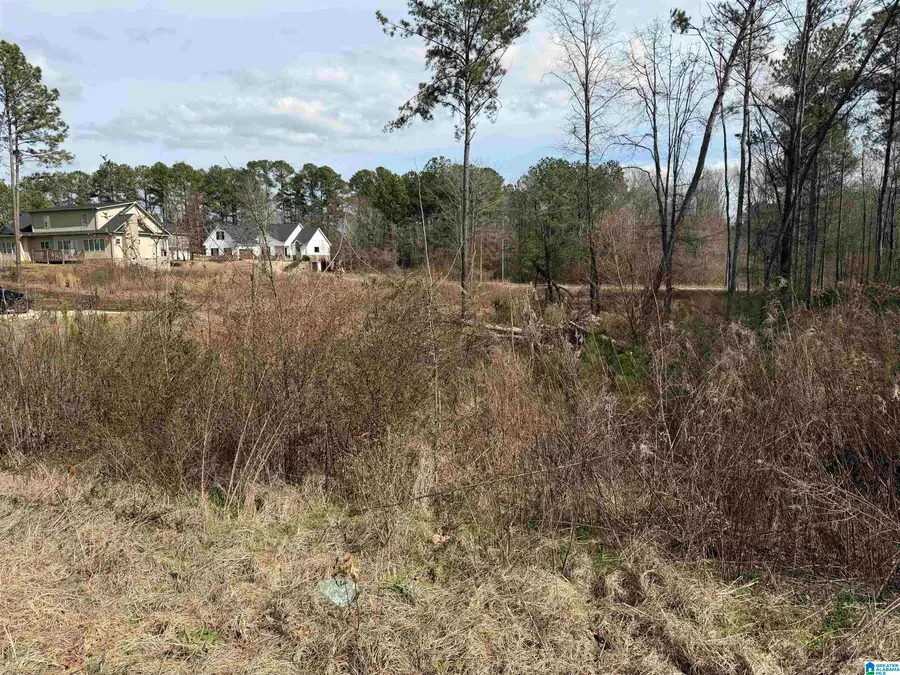 1116 BAYLOR COURT, Pell City, AL 35128 - #3