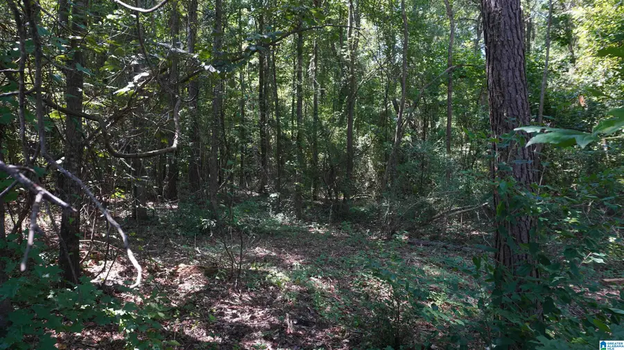 2911 STARDUST DRIVE, Tuscaloosa, AL 35405 - #2