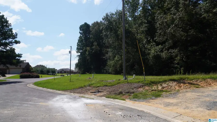 2911 STARDUST DRIVE, Tuscaloosa, AL 35405 - #3