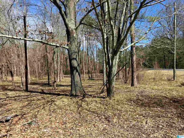 4639 POPE AVENUE, Steele, AL 35987