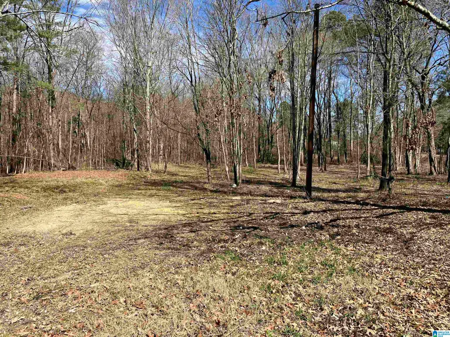 4639 POPE AVENUE, Steele, AL 35987 - #2