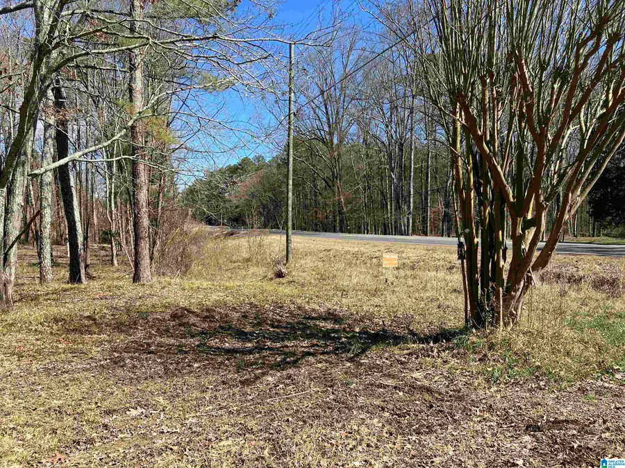 4639 POPE AVENUE, Steele, AL 35987 - #3