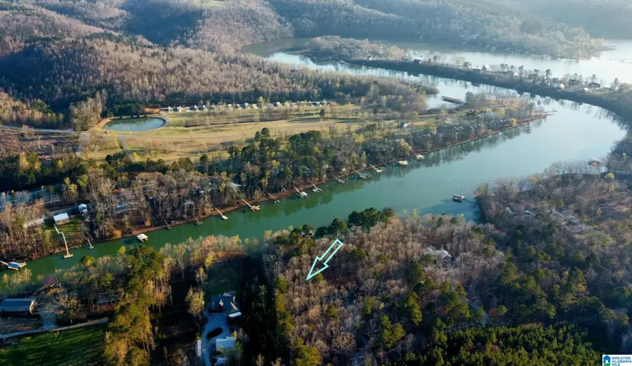 0 COUNTY ROAD 950, Crane Hill, AL 35053 - #2