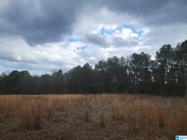 0 COUNTY ROAD 15, County, AL 36750