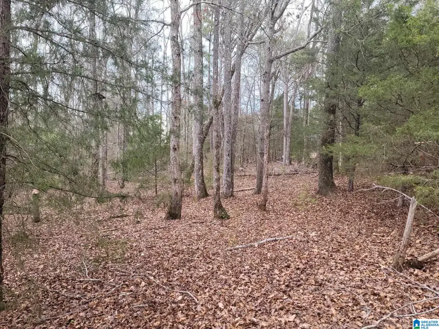 0 COUNTY ROAD 15, County, AL 36750 - #2