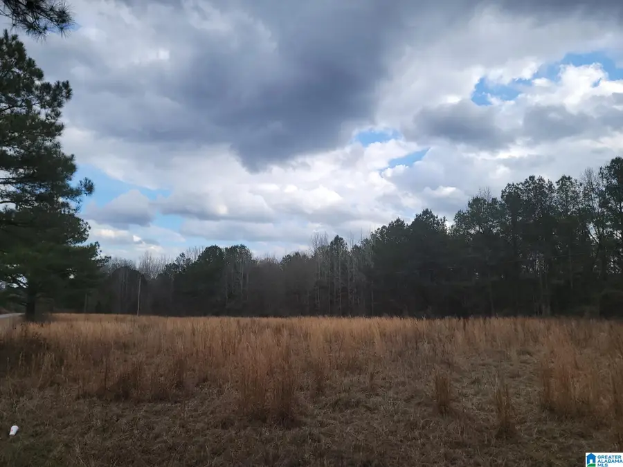 0 COUNTY ROAD 15, County, AL 36750 - #3