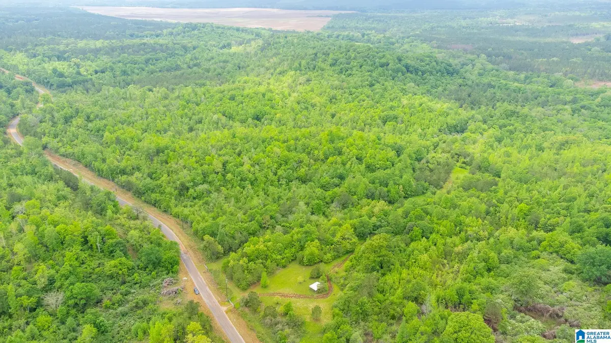 1432 MARDISVILLE ROAD, Talladega, AL 35160 - #1