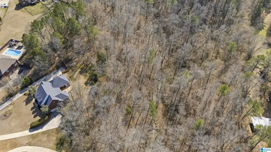 8550 HIDDEN CREEK DRIVE, Gardendale, AL 35071 - #3