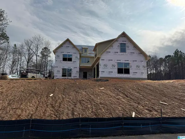 3269 RIVERBIRCH TRAIL, Chelsea, AL 35043