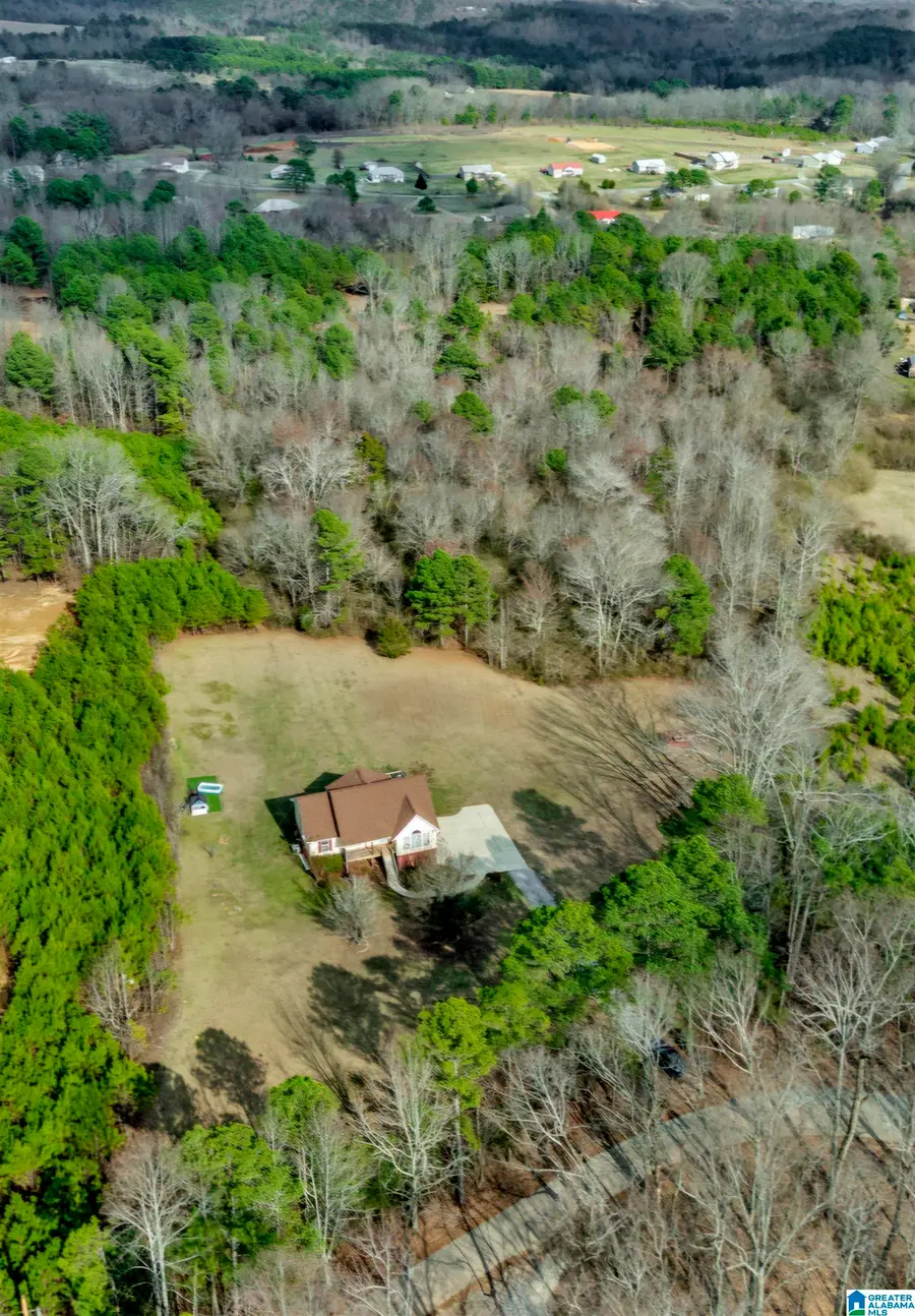 294 HOLT CIRCLE, Hayden, AL 35079 - #2