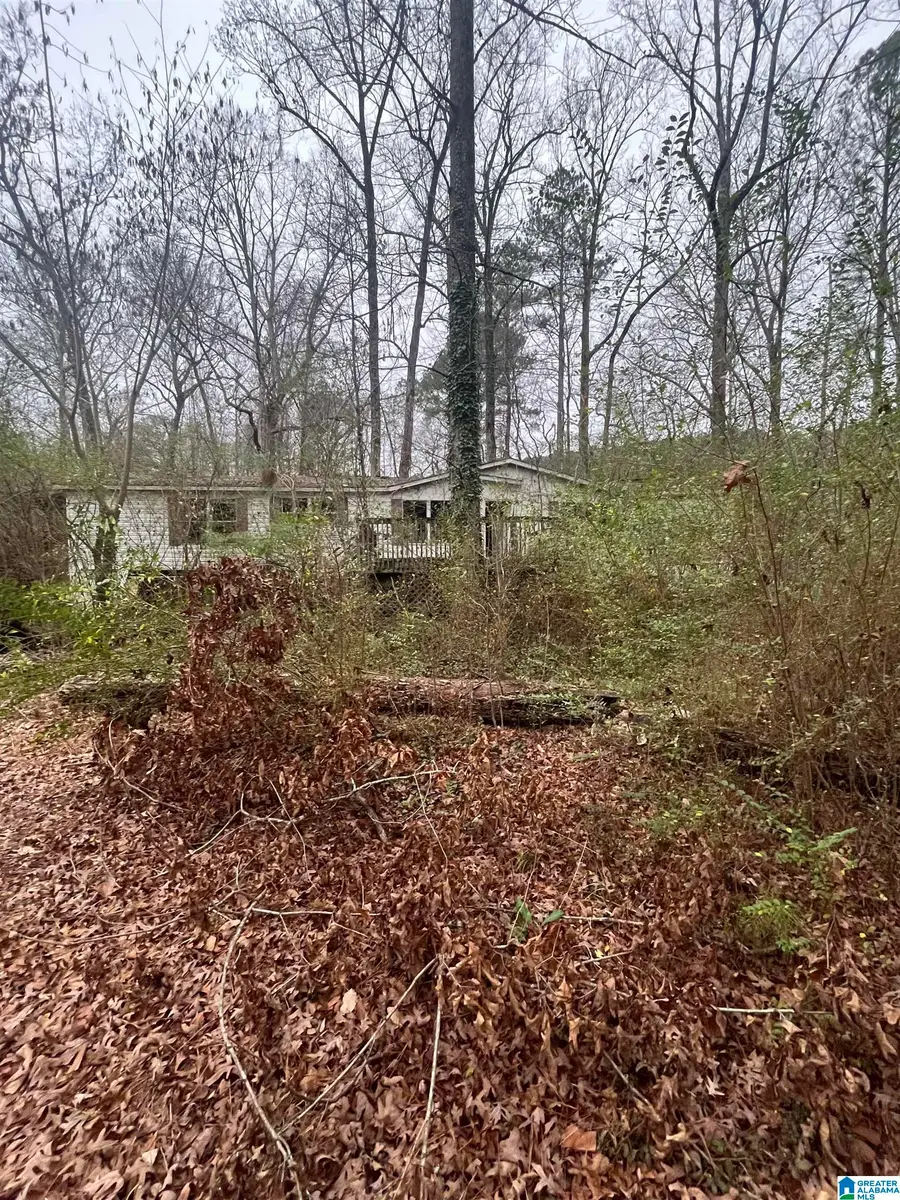 528 PLAZA DRIVE, Irondale, AL 35235 - #3