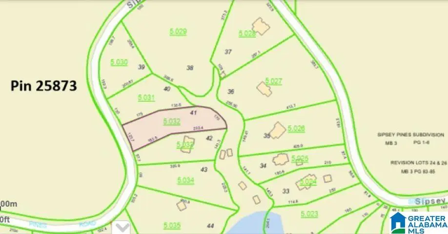 Lot 41 SIPSEY PINES ROAD, Arley, AL 35541 - #1