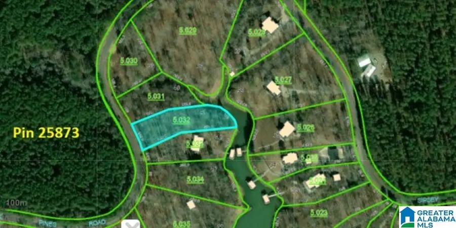 Lot 41 SIPSEY PINES ROAD, Arley, AL 35541 - #3
