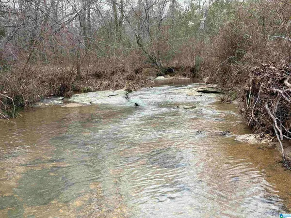 0 MIMS FERRY ROAD, Clanton, AL 35046