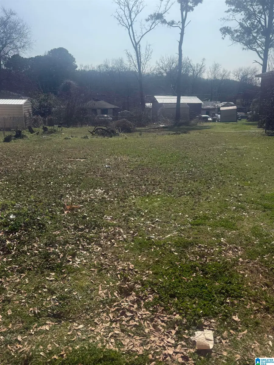 3717 GRASSELLI AVENUE SW, Birmingham, AL 35221 - #3