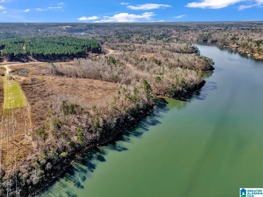 0 COUNTY ROAD 102, Bremen, AL 35033 - #3