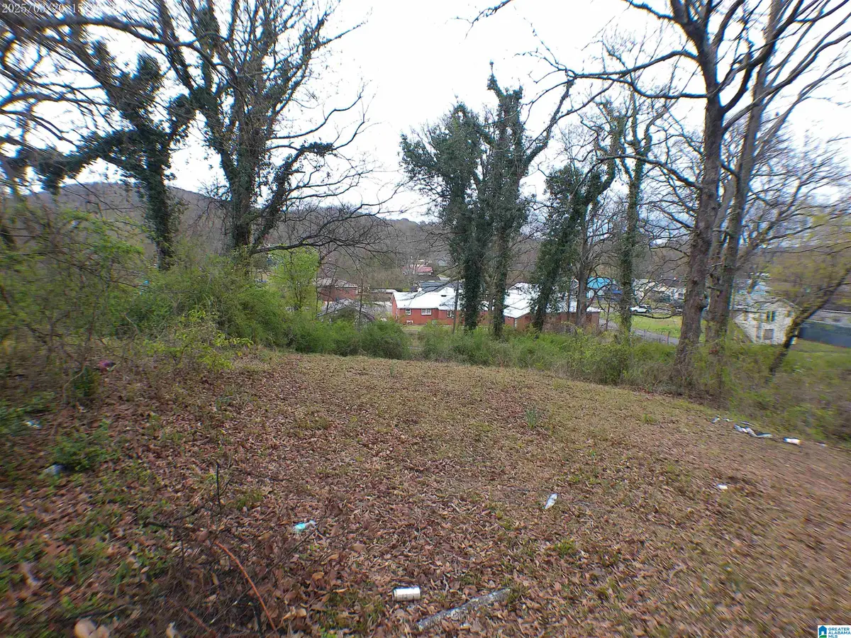 2409 MOORE AVENUE, Anniston, AL 36201 - #1