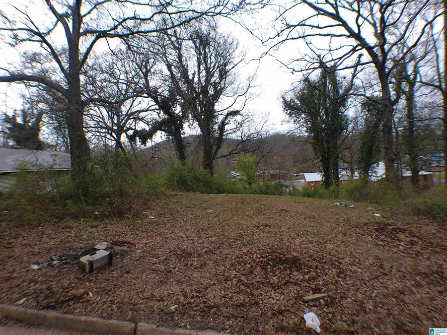 2409 MOORE AVENUE, Anniston, AL 36201 - #2