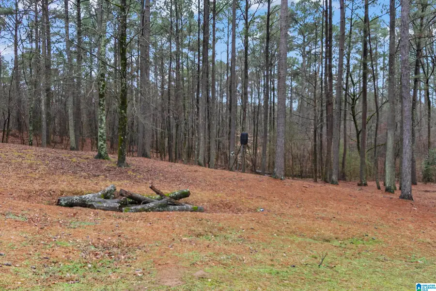 7030 HIGHWAY 30, Helena, AL 35080 - #2