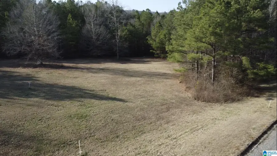 375 WILLOW CREEK DRIVE, Lincoln, AL 35096 - #3