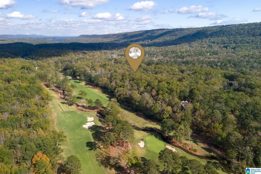 3 BALTUSROL COURT, Birmingham, AL 35242 - #2