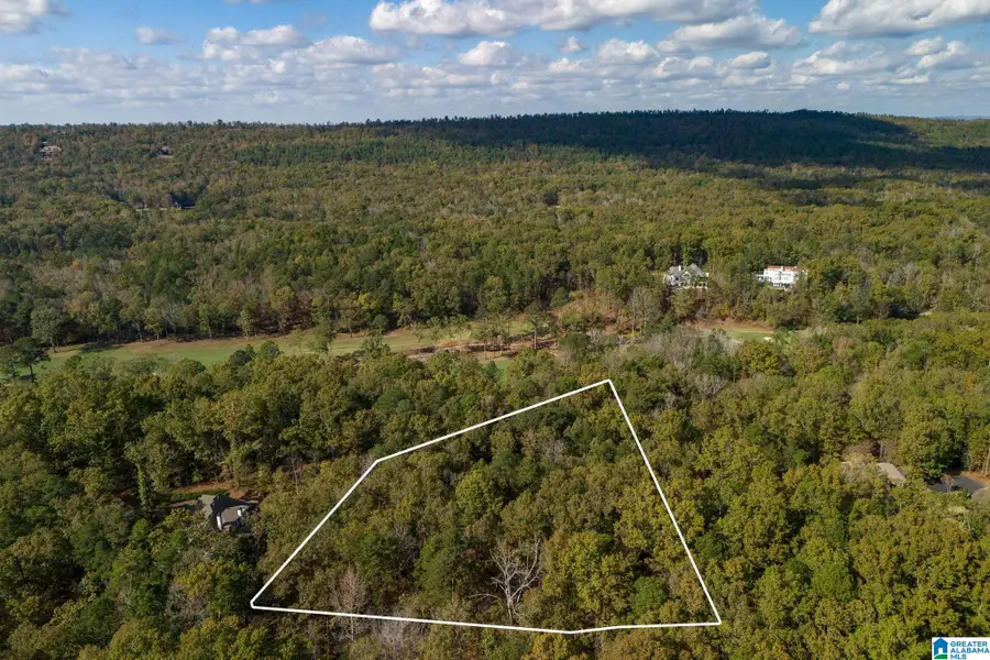 3 BALTUSROL COURT, Birmingham, AL 35242 - #3