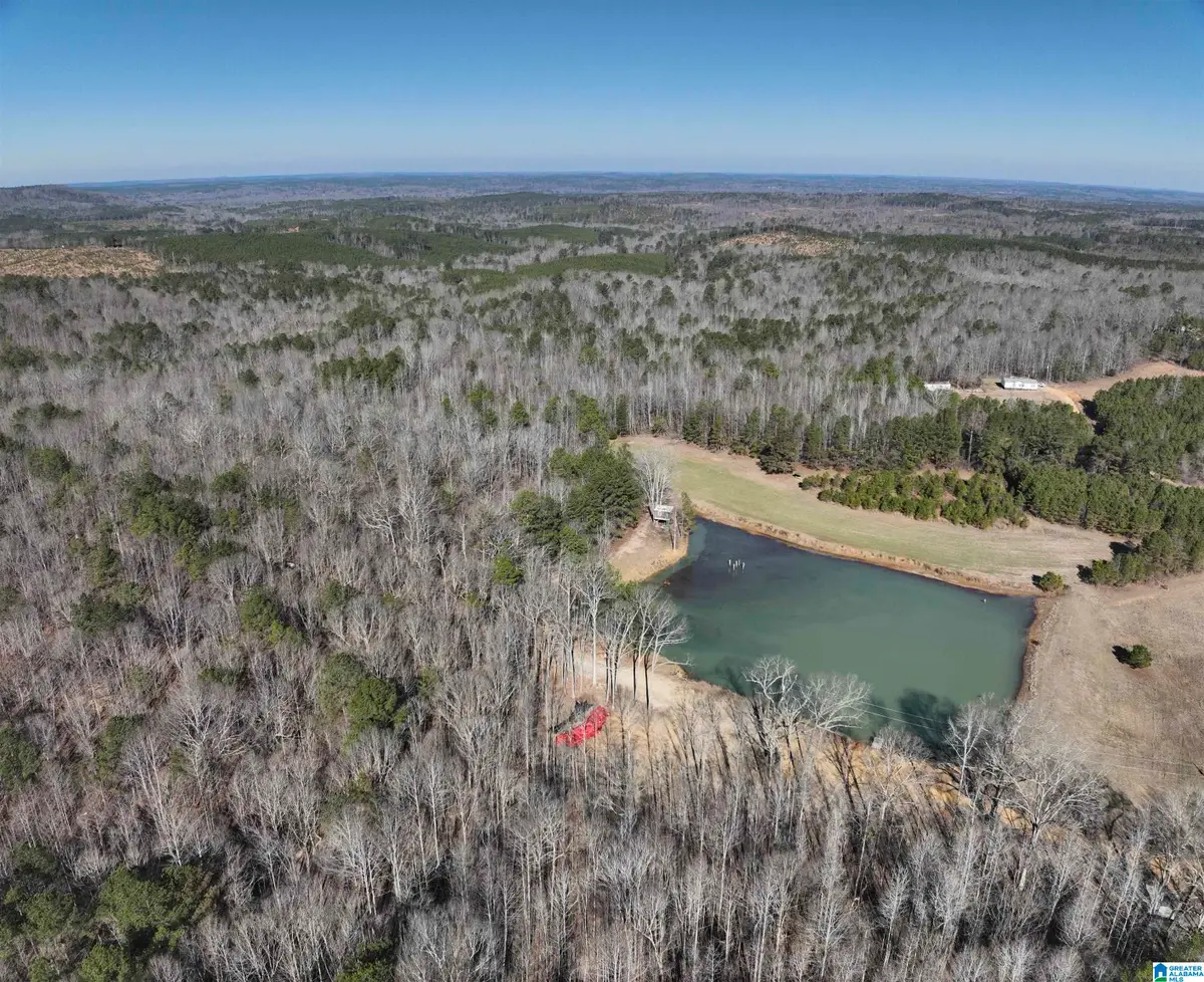 6171 HIGHWAY 102, Fayette, AL 35555 - #1