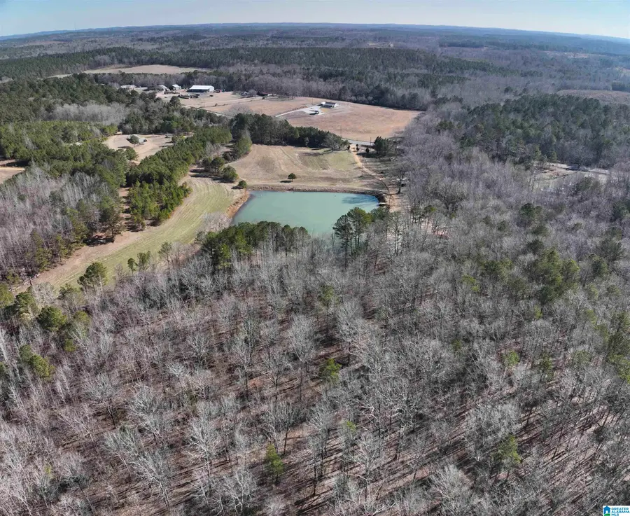 6171 HIGHWAY 102, Fayette, AL 35555 - #2