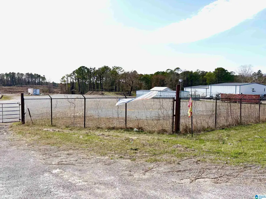 0 COUNTY LINE ROAD, Trafford, AL 35172 - #2