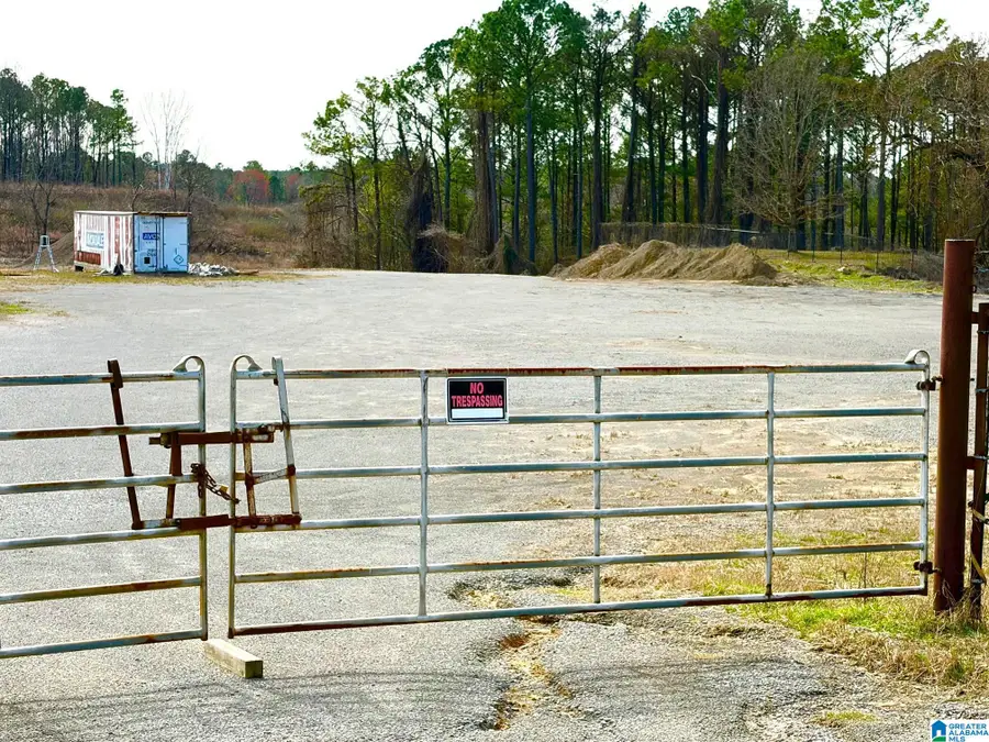 0 COUNTY LINE ROAD, Trafford, AL 35172 - #3