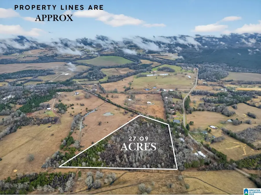 0 TURNER MILL ROAD E, Munford, AL 36268 - #2