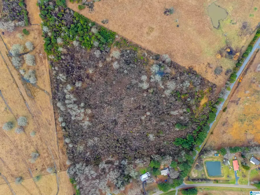 0 TURNER MILL ROAD E, Munford, AL 36268 - #3